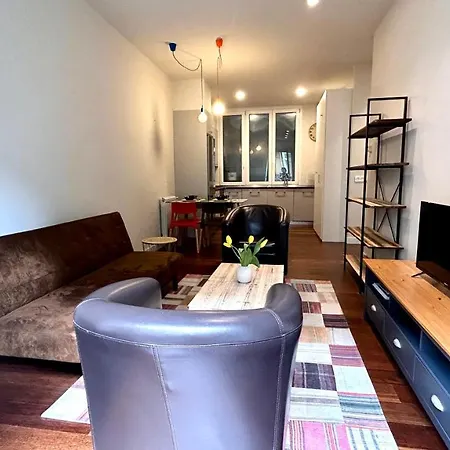 Larramendi Center Apartmán *